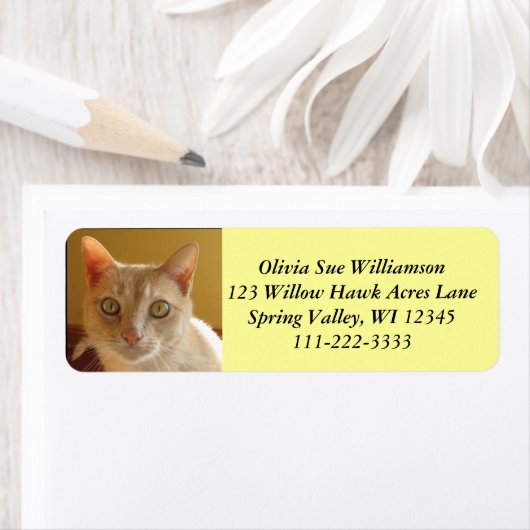 Étiquette Beau chat orange #2 (En situation)