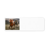 Étiquette Beau cheval ravit les propriétaires en course clas (Devant)