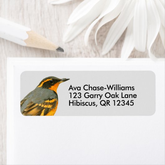 Étiquette Beau oiseau-chanteur à gorge variée dans l'arbre (En situation)