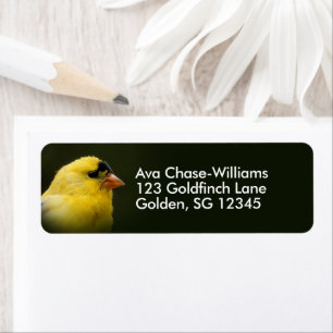 Étiquette Beau oiseau-chanteur américain Goldfinch