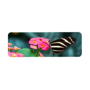Étiquette Beau papillon sur une fleur rose