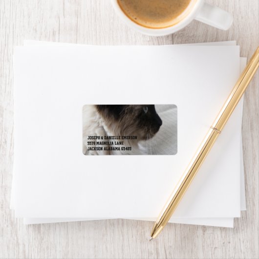 Étiquette Beau Siamese Kitty (En situation)