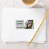 Étiquette Bébé mignon Animaux Orangoutan (En situation)