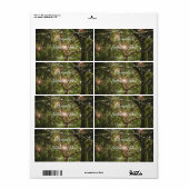 Étiquette Belle, Forêt Enchantée, Fées, Douce 16, (Feuille entière)