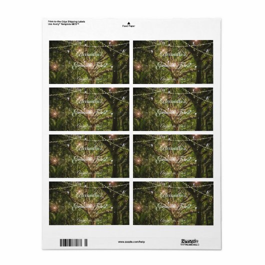 Étiquette Belle, Forêt Enchantée, Fées, Douce 16, (Feuille entière)