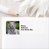 Étiquette Belle photo de tigre blanc (En situation)