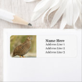 Étiquette Belle Quail Bird Adresse de retour (En situation)