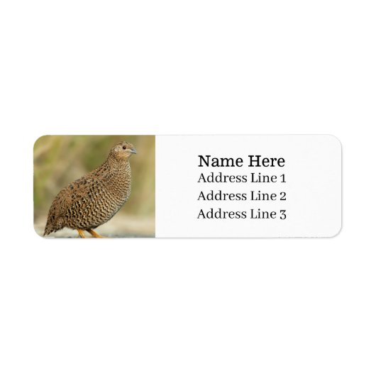 Étiquette Belle Quail Bird Adresse de retour (Devant)