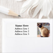 Étiquette Belle Siamese Cat Blue Eyes Adresse de retour (En situation)