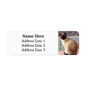 Étiquette Belle Siamese Cat Blue Eyes Adresse de retour