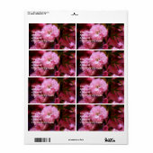 Étiquette Belles fleurs de cerisiers rose printemps (Feuille entière)