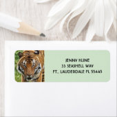 Étiquette BENGAL TIGER Adresse de retour LabelS (En situation)