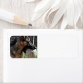 Étiquette berger allemand avec jouet (En situation)