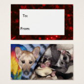 Étiquette, berger allemand, planeur de sucre Xmas (Devant & derrière)