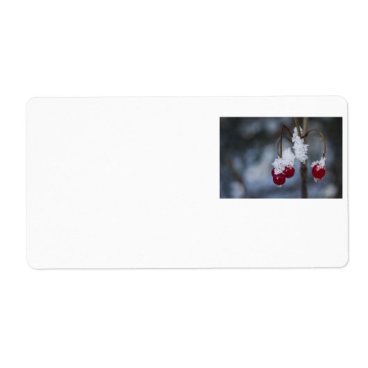 Étiquette Berries congelées (Devant)