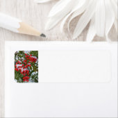 Étiquette Berries de Christmas (En situation)