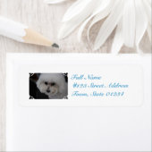 Étiquette Bichon Frise (En situation)