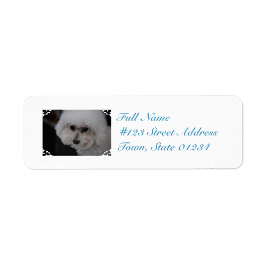 Étiquette Bichon Frise (Devant)