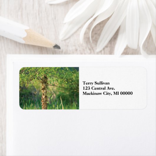 Étiquette Birch Tree (En situation)