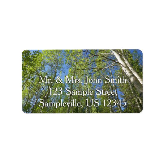 Étiquette Birch Trees d'été à Rocky Mountain (Devant)