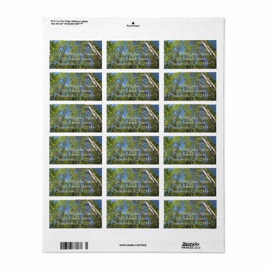 Étiquette Birch Trees d'été à Rocky Mountain (Feuille entière)