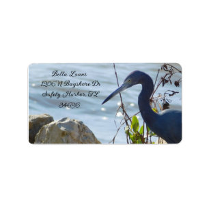 Étiquette Bird By the Bay Little Blue Heron Safety Harbour