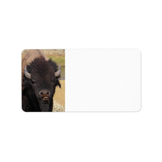 Étiquette bison drôle (Devant)