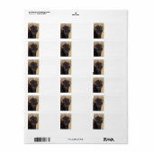 Étiquette bison drôle (Feuille entière)