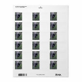 Étiquette black beb (Feuille entière)