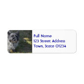 Étiquette Black Cairn Terrier (Devant)