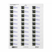 Étiquette Black Cairn Terrier (Feuille entière)