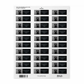 Étiquette Black Lab Chien Russe Animal Adresse de retour Lab (Feuille entière)