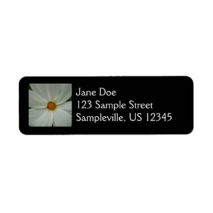 Étiquette Blanc Cosmos Fleur sauvage d'été Floral
