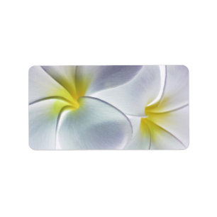 Étiquette Blanc customisé par fleur d'Hawaï de Frangipani