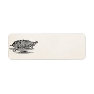 Étiquette Blanc en bois vintage de modèle de tortue de