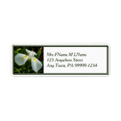 Étiquette blanc Iris (Devant)