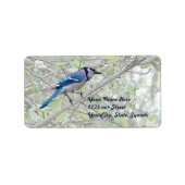 Étiquette Bleu Jay Songbird (Devant)