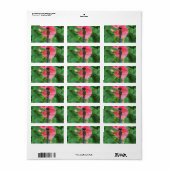 Étiquette Bleu libellule sur fleur rose vert arrière - plan (Feuille entière)