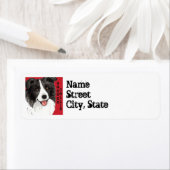 Étiquette Bloc de couleur de bordure (En situation)