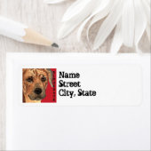 Étiquette Bloc de couleur Rhodesian Ridgeback (En situation)