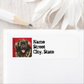 Étiquette Bloc de couleurs Leonberger (En situation)