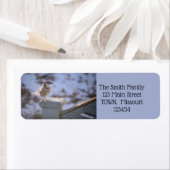 Étiquette Bloe Jay (En situation)