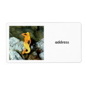 Étiquette blonde mermaid (Devant)