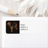 Étiquette Bloodhound (En situation)