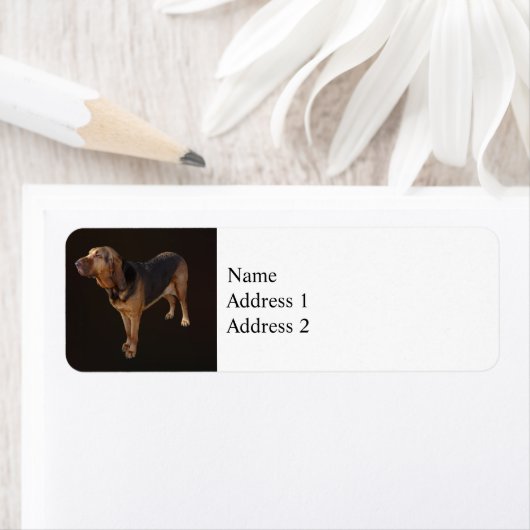 Étiquette Bloodhound (En situation)