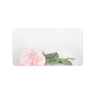 Étiquette Blu rose vierge do-it-yourself Imprimer l'adresse