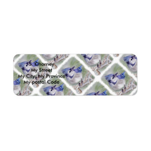 Étiquette BLUE BIRD OF PARADISE Adresse de retour