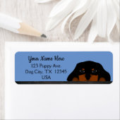 Étiquette Blue Cavalier King Charles Spaniel Chien chiot (En situation)