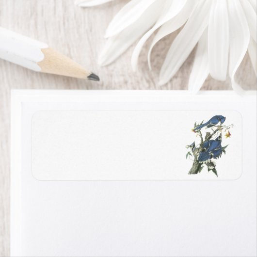 Étiquette Blue Jay par Audubon (En situation)