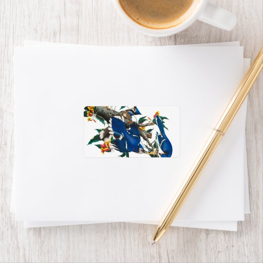 Étiquette Blue Jay par John James Audubon (En situation)